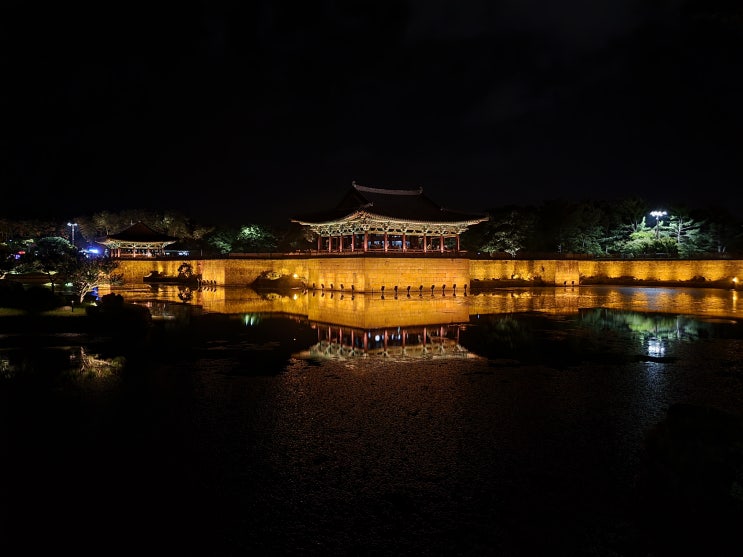  경주여행 동궁과 월지 첨성대 황리단길 밤산책 투어 [NIGHT]