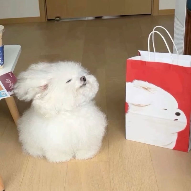 자궁용종제거 당일수술퇴원후기