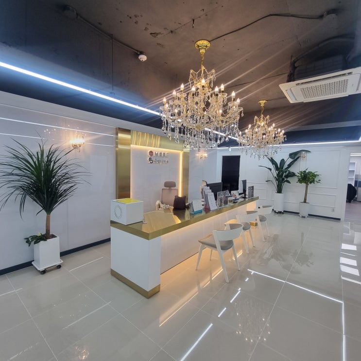 <b>연세대</b> 수리<b>논술</b> 2차 재<b>시험</b>을 준비하는 3일 특강