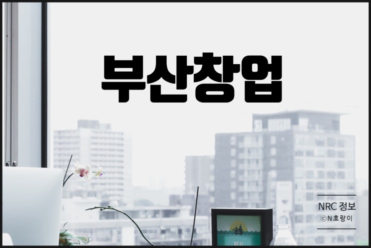 부산창업 핸드폰 요금 양도양수 사업 누적형 권리수입 부산창업 핸드폰 요금 양도양수 사업 누적형 권리수입