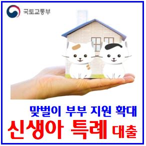 맞벌이부부 신생아특례대출 소득요건 완화 (ft. 부부합산 연소득 2억원) : 우대적용금리, 시행시기, 12월2일, 23년출생아, 구입디딤돌, 전세버팀목, 자산, 무주택, 출산가구