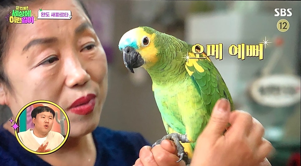 컷트만들기 사진 3
