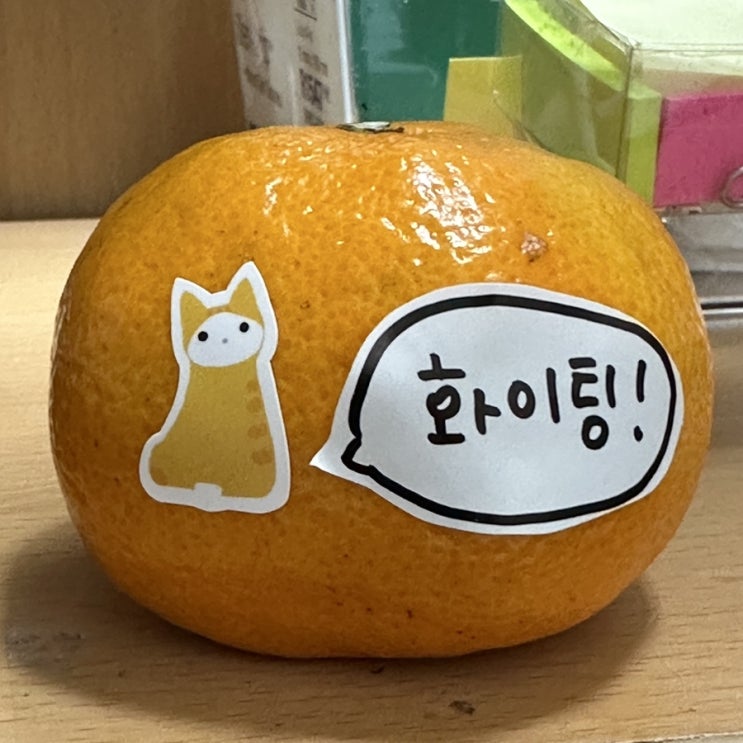  231030~1105 먹고 살기