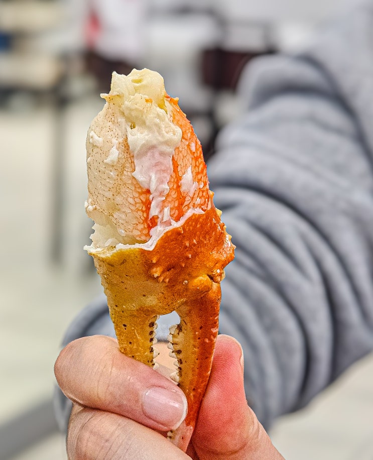  속초 대게 맛집 | 고속버스터미널 근처 대게나라홍게마을