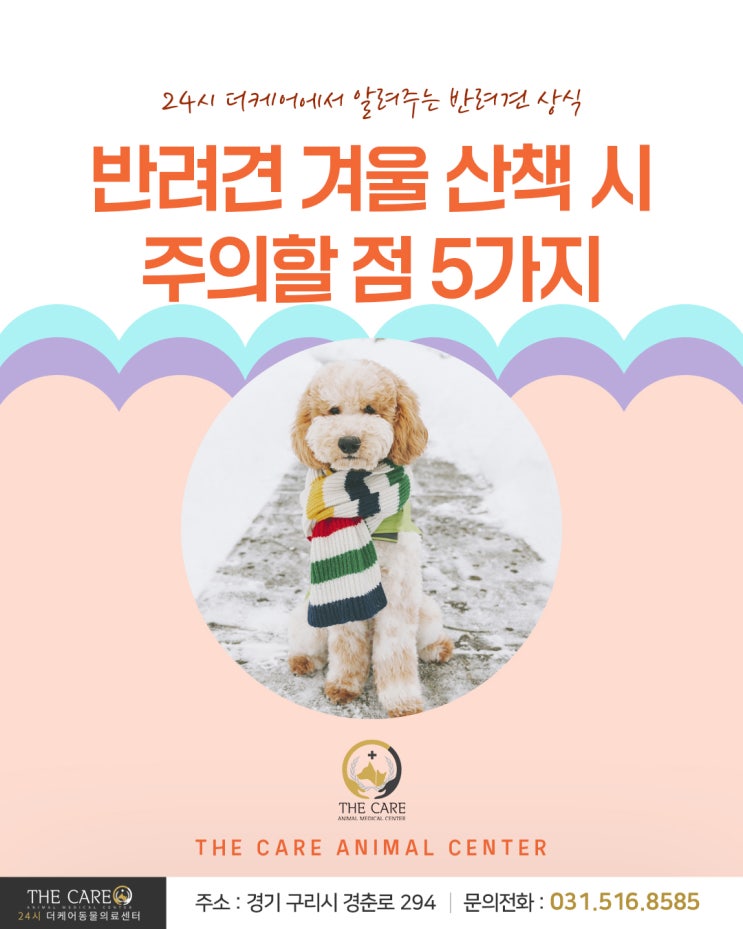  [24시더케어동물의료센터] 반려견 겨울 산책 시 주의할 점 5가지
