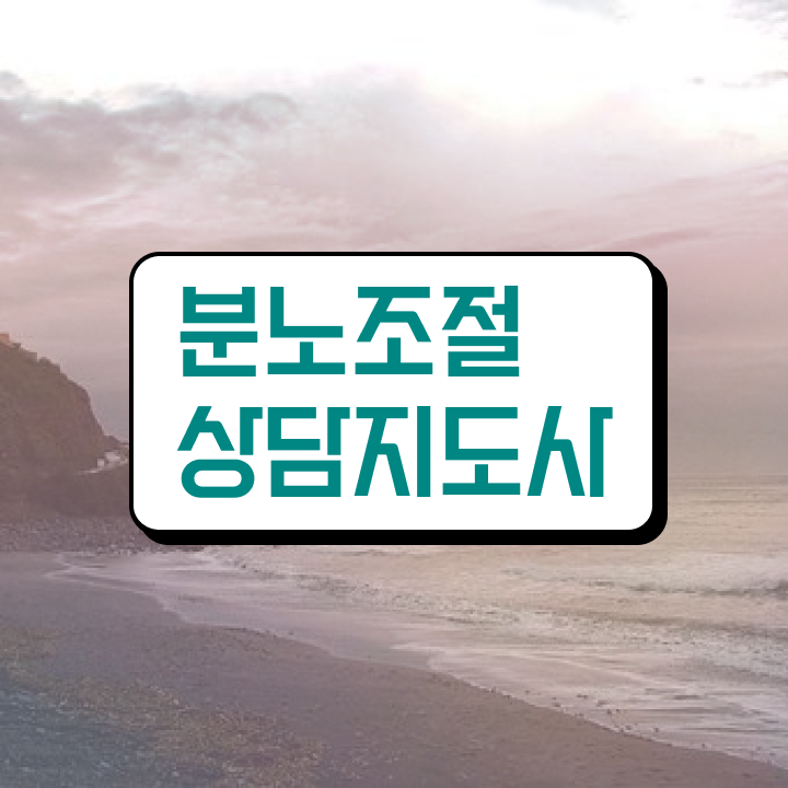 2급분노조절상담사 분노조절상담지도사자격증 합격한 후기 및 역할과 하는일