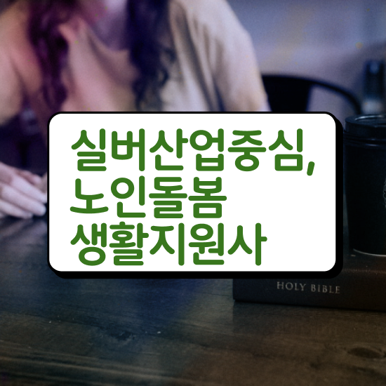  , 노인돌봄생활지원사 자격증 쉽고 빠르게 취득한 정보 정보 퍼펙트 요약