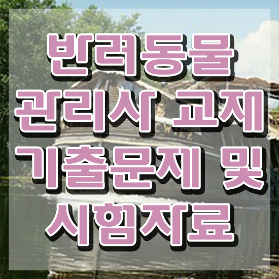  반려동물종합관리사 , 반려동물관리사 자격증 2주 만에 준비한 방법 총 정리
