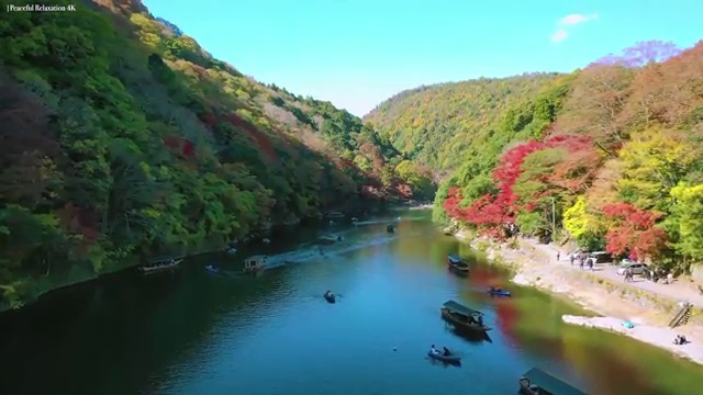  학교 디지털튜터 , 디지털튜터 자격증 1달 만에 시험준비 소개합니다
