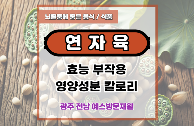 연자육 연꽃씨 연꽃씨앗 효능, 부작용, 영양 성분.