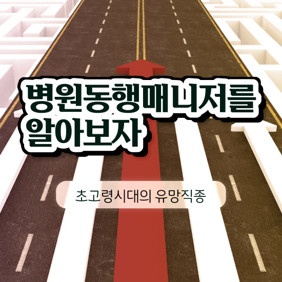  병원동행매니저 지원자격 병원동행매니저 합격 비법 , 향후 전망