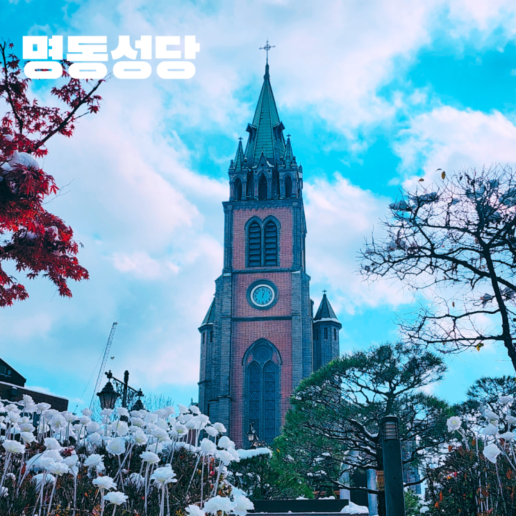  명동성당 서울 명동 볼거리 가볼만한 곳 미사시간 내부 관람