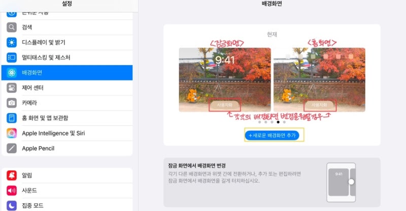 아이패드 사용법) 배경화면 설정 및 삭제하는 방법