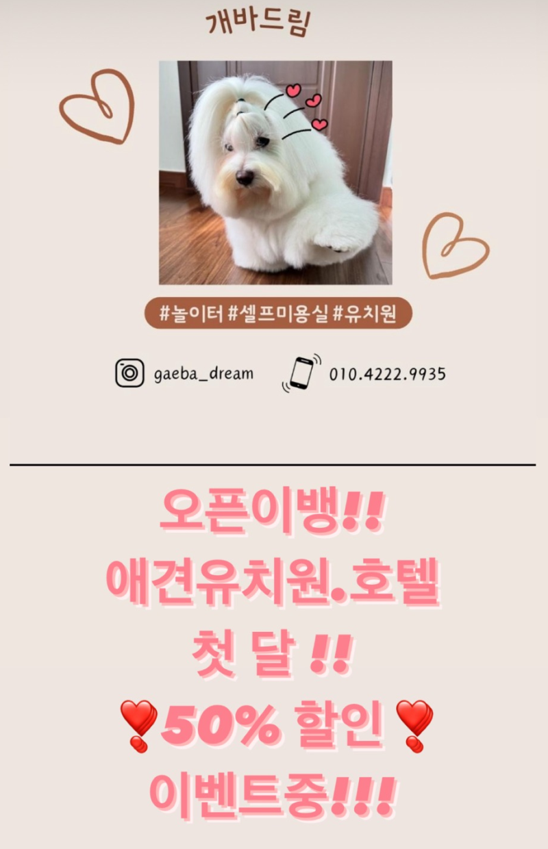 사진 4