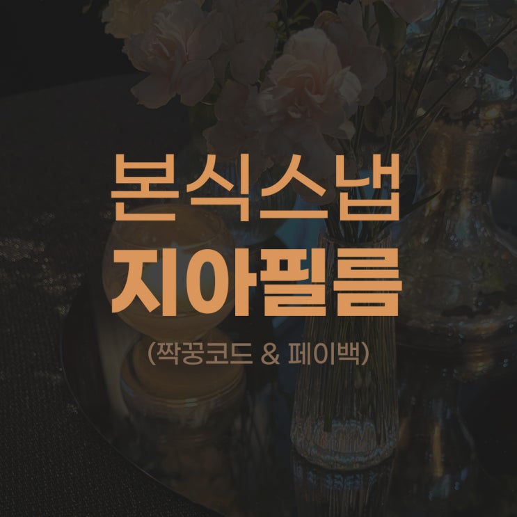  [W.02] 가성비 본식스냅 지아필름 (짝꿍코드 & 페이백)