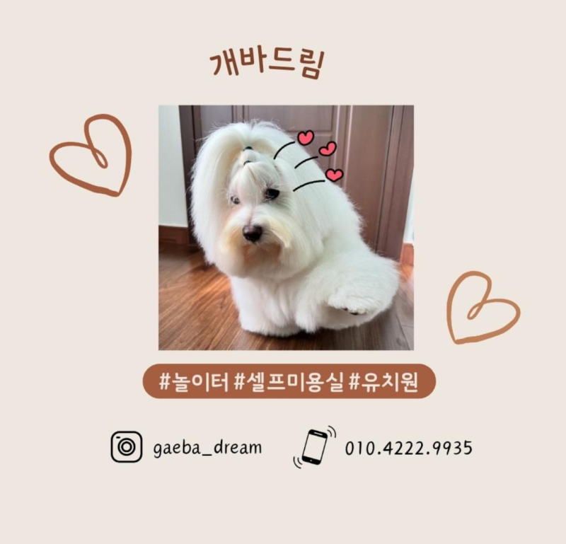 사진 3