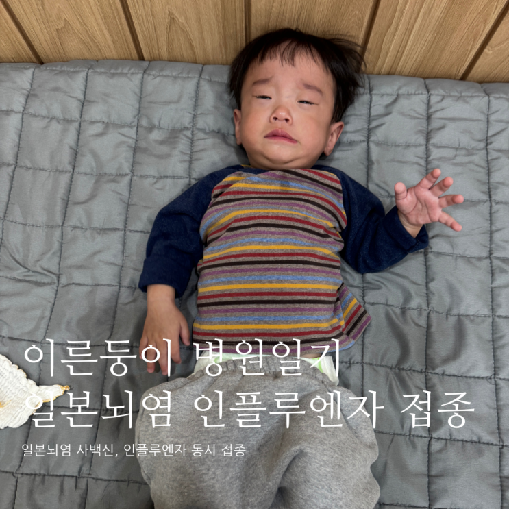이른둥이 병원일기 일본뇌염 인플루엔자 예방접종 동시접종 일본뇌염 사백신 이른둥이 병원일기 일본뇌염 인플루엔자 예방접종 동시접종 일본뇌염 사백신