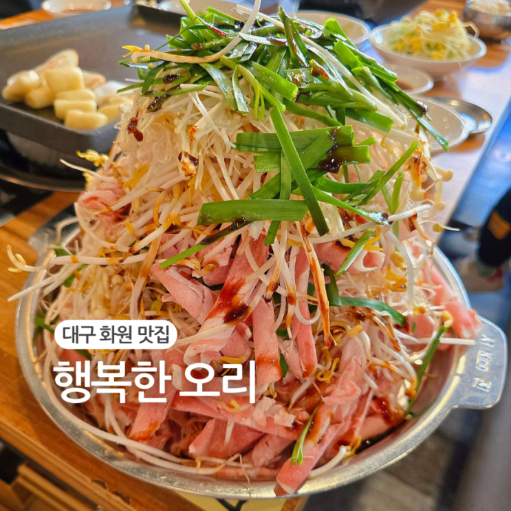  대구 화원 오리 맛집/행복한 오리