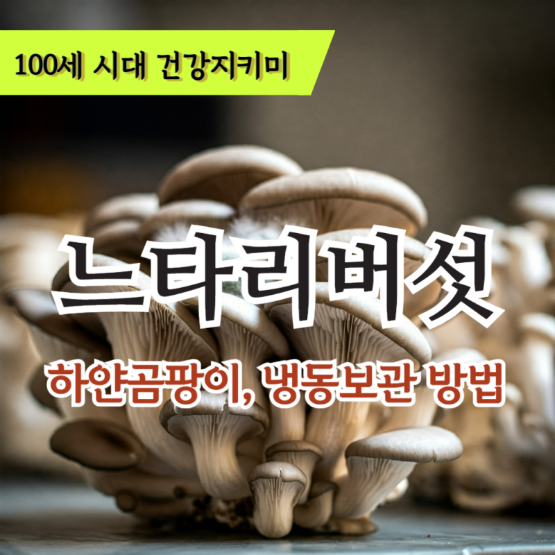 느타리버섯 하얀곰팡이 먹어도 될까?냉동보관 방법