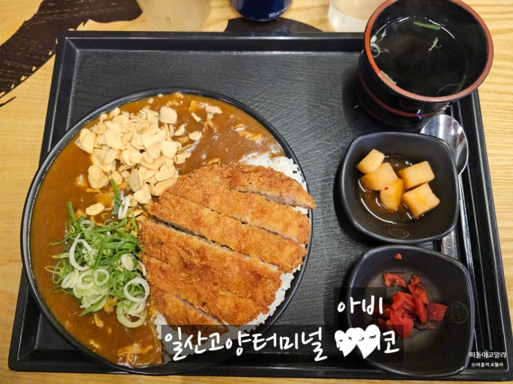 일산맛집 카레 아비꼬 일산고양터미널점