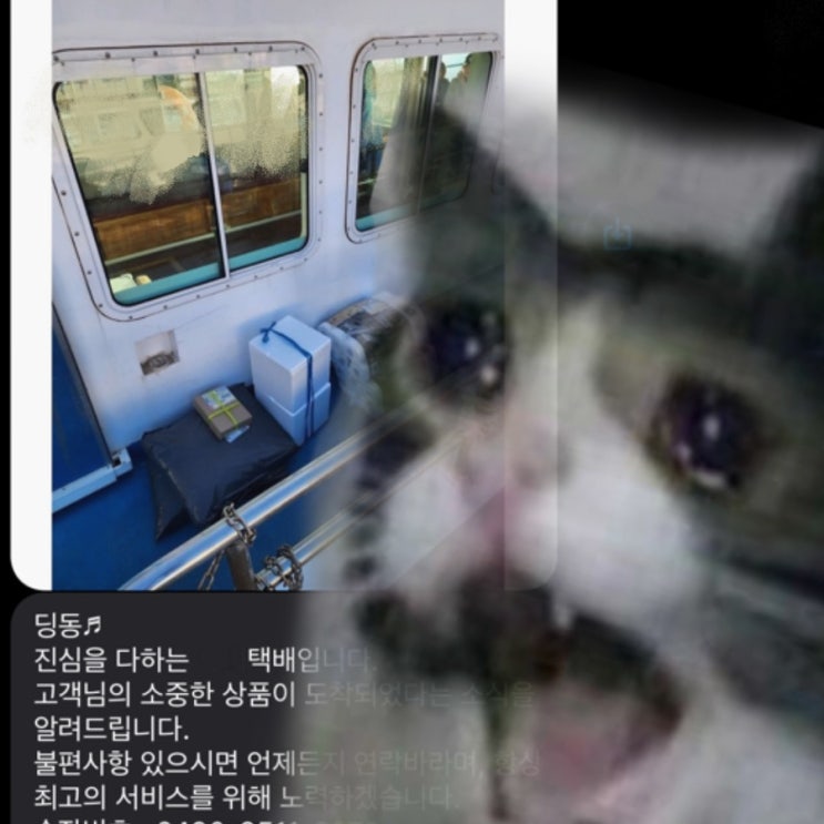  일상. 택배가 어디로 가는 거죠?