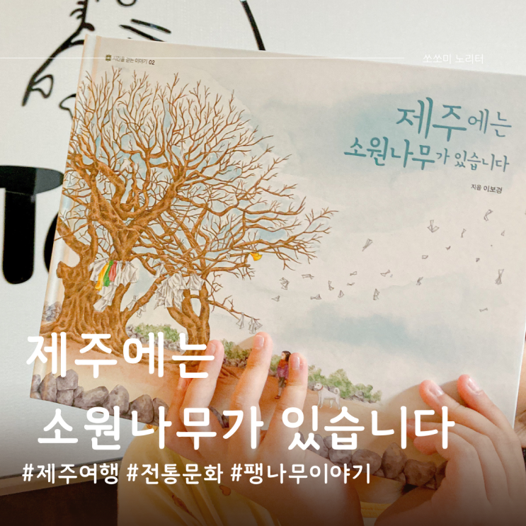  제주여행과 전통문화 팽나무 이야기 제주에는 소원나무가 있습니다
