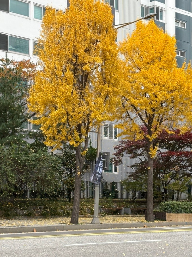 2024. 11 : 네이버 블로그