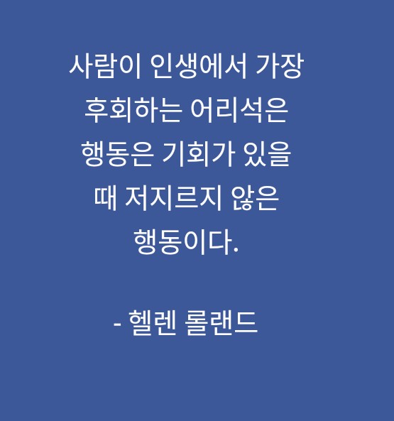 겨울에도 피는 꽃 겨울에도 피는 꽃
