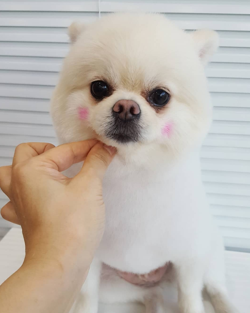 사진 9