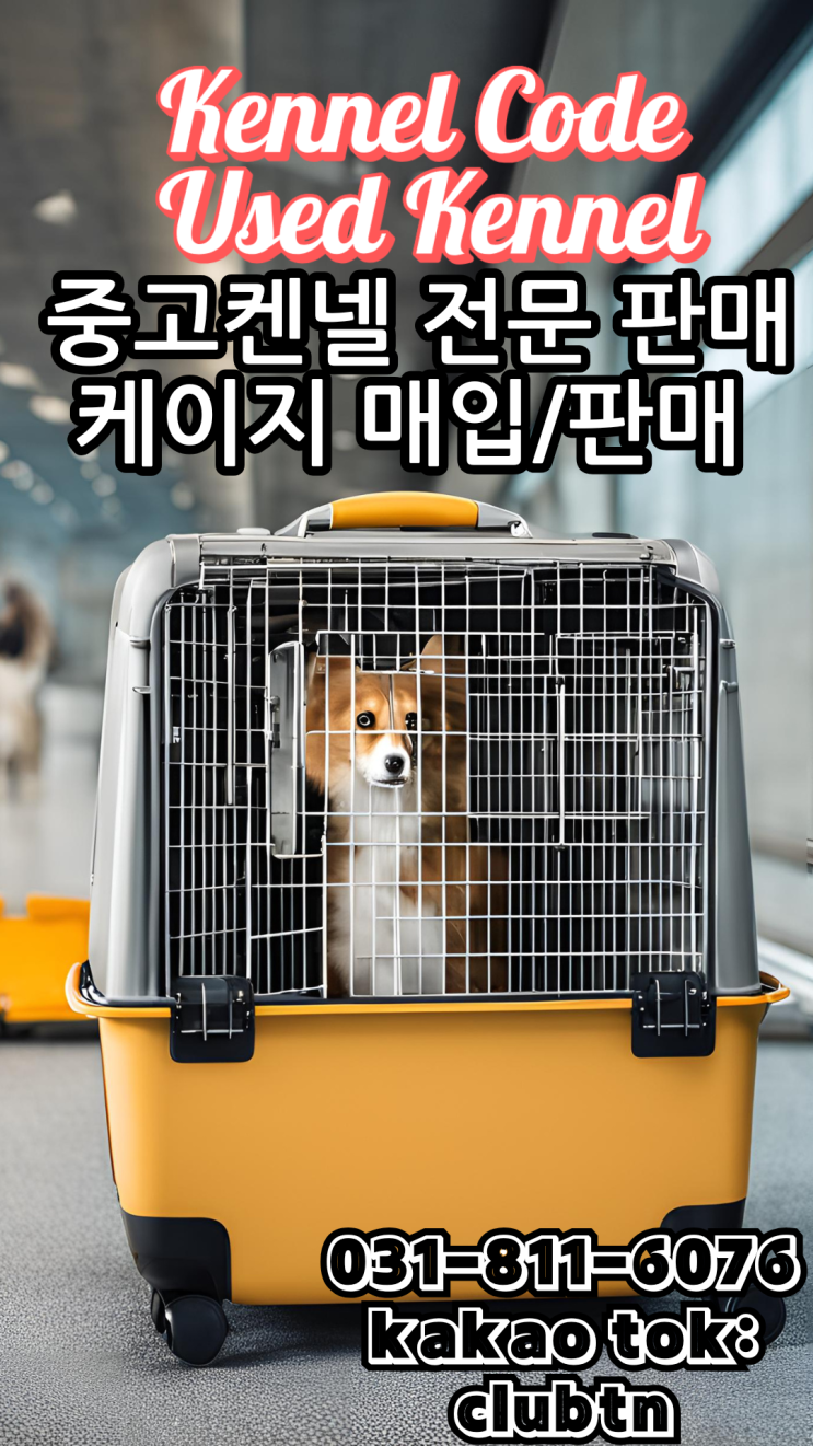  강아지켄넬중고 고양이켄넬중고 강아지중고케이지 고양이중고케이지 반려동물중고켄넬 코드켄넬 코드케이지 바리켄넬중고 자이언트켄넬중고 550켄넬 700켄넬 강아지해외이동켄넬
