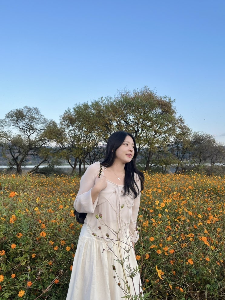  11월 일상 : 대전여행, 위키드, 남양주, 잠실 크리스마스 마켓