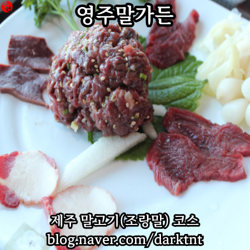 제주시 말고기 코스 요리 제주공항 근처 조랑말 육회 맛집