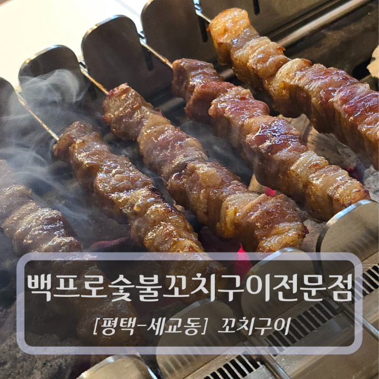  [평택-세교동, 꼬치구이] 백프로숯불꼬치구이전문점 - 평택양꼬치맛집