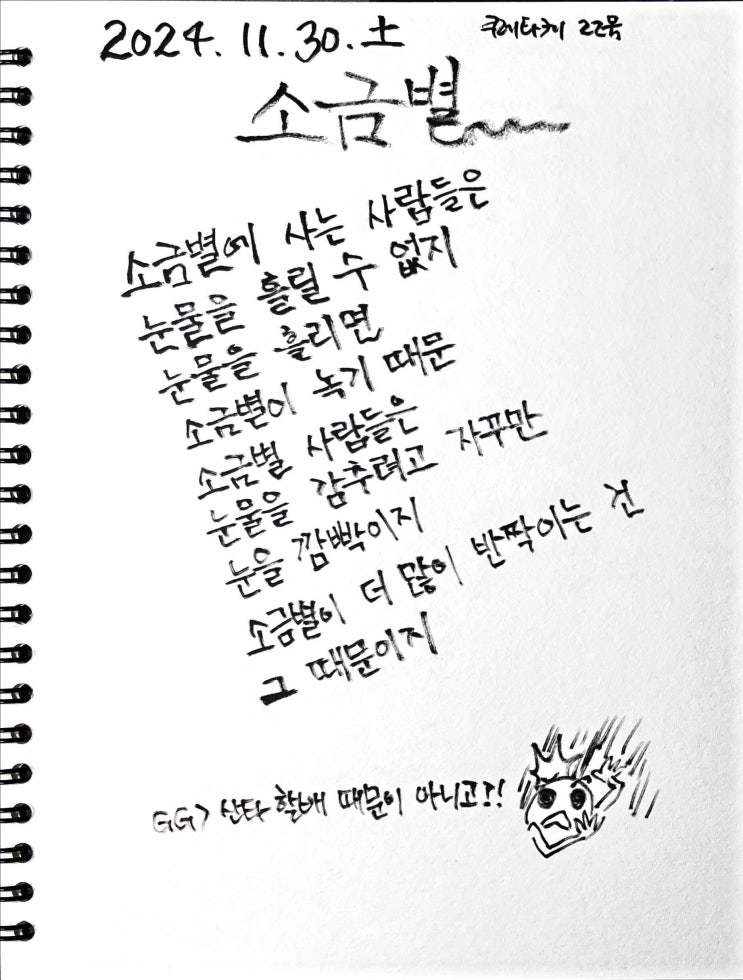  [필사] 소금별-류시화