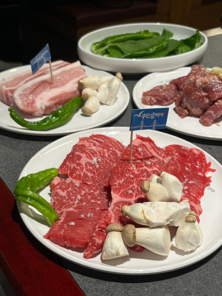  대전 봉명동 맛집 갓성비에 맛까지 잡은 유성구 맛집 부산갈매기 대전봉명점