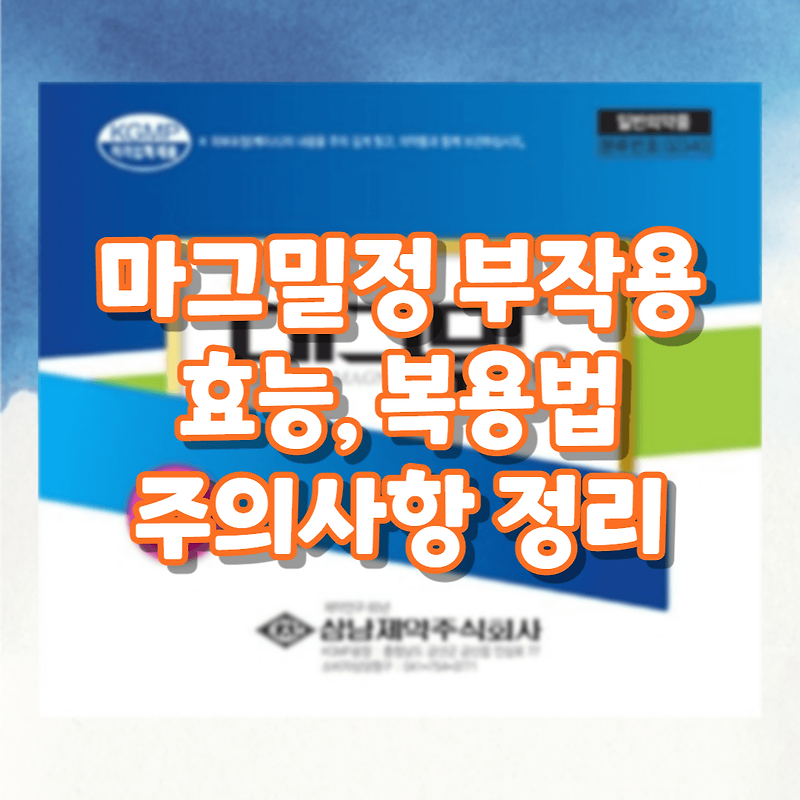 마그밀정 500mg 효과 복용법 약국 가격 변비 치료