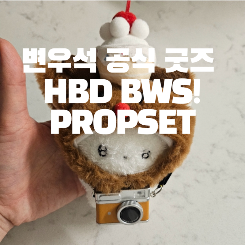 邊佑錫官方周邊 HBD BWS! PROPSET終於到貨了!!