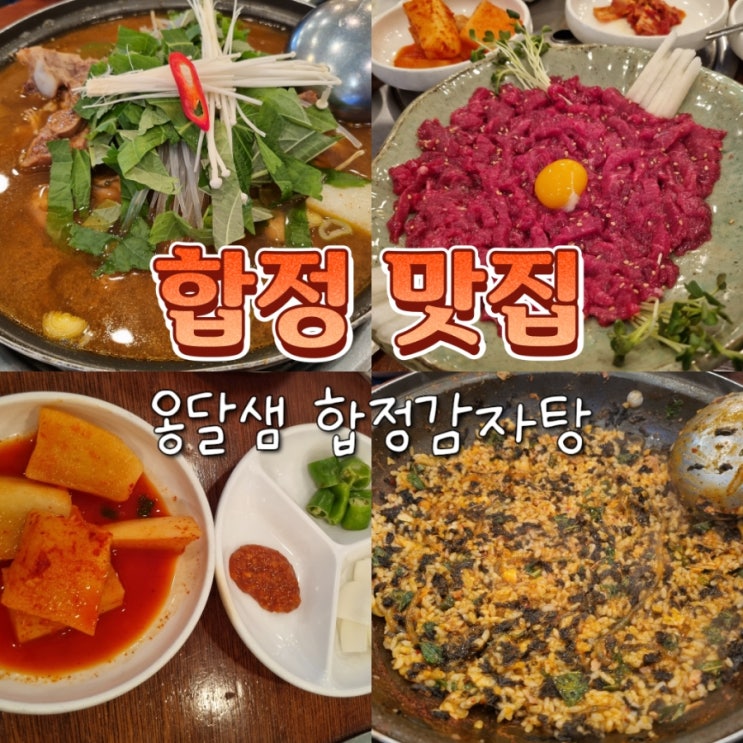  합정역 근처 점심 혼밥 맛집 옹달샘 합정감자탕 내돈내산