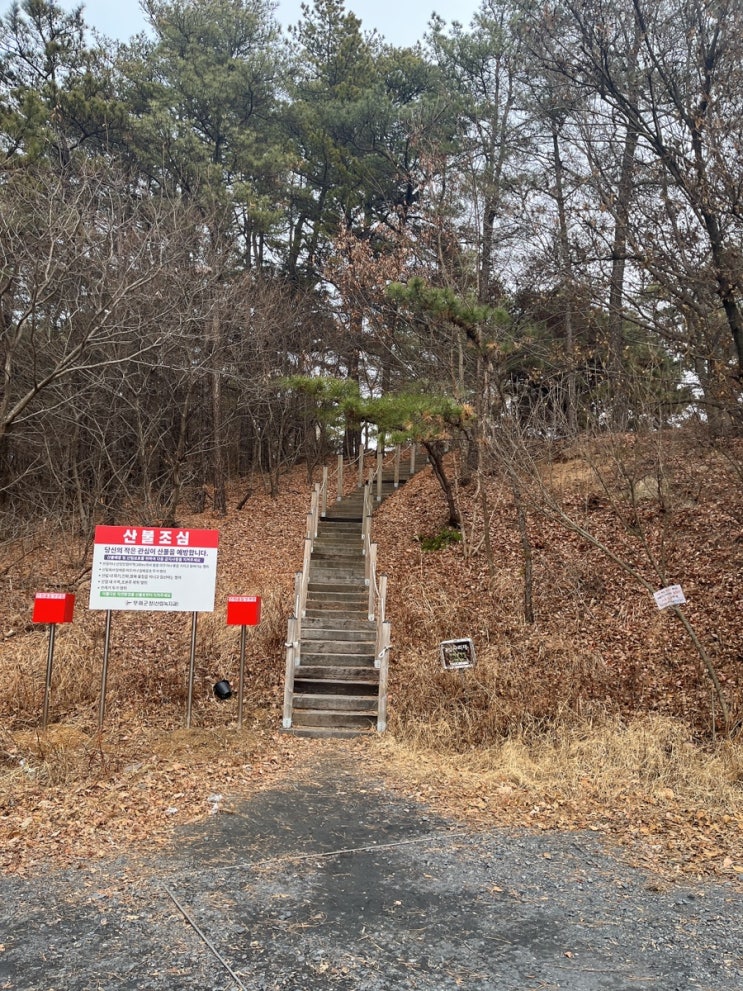  부여 가볼 만한 곳 성흥산성 사랑나무 포토 존