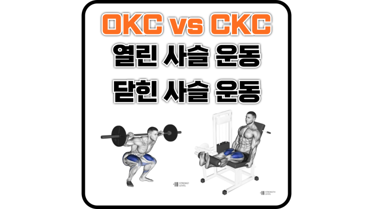  OKC vs CKC(열린 사슬 운동 vs 닫힌 사슬 운동)