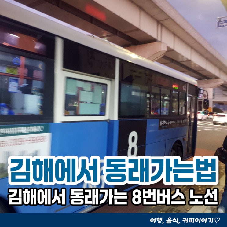  김해에서 부산 동래가는 버스 노선