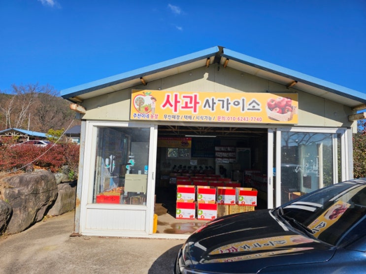  [영양군 홍보] 부사의 철이 왔습니다. 질좋은 사과 싸게 사가세요.