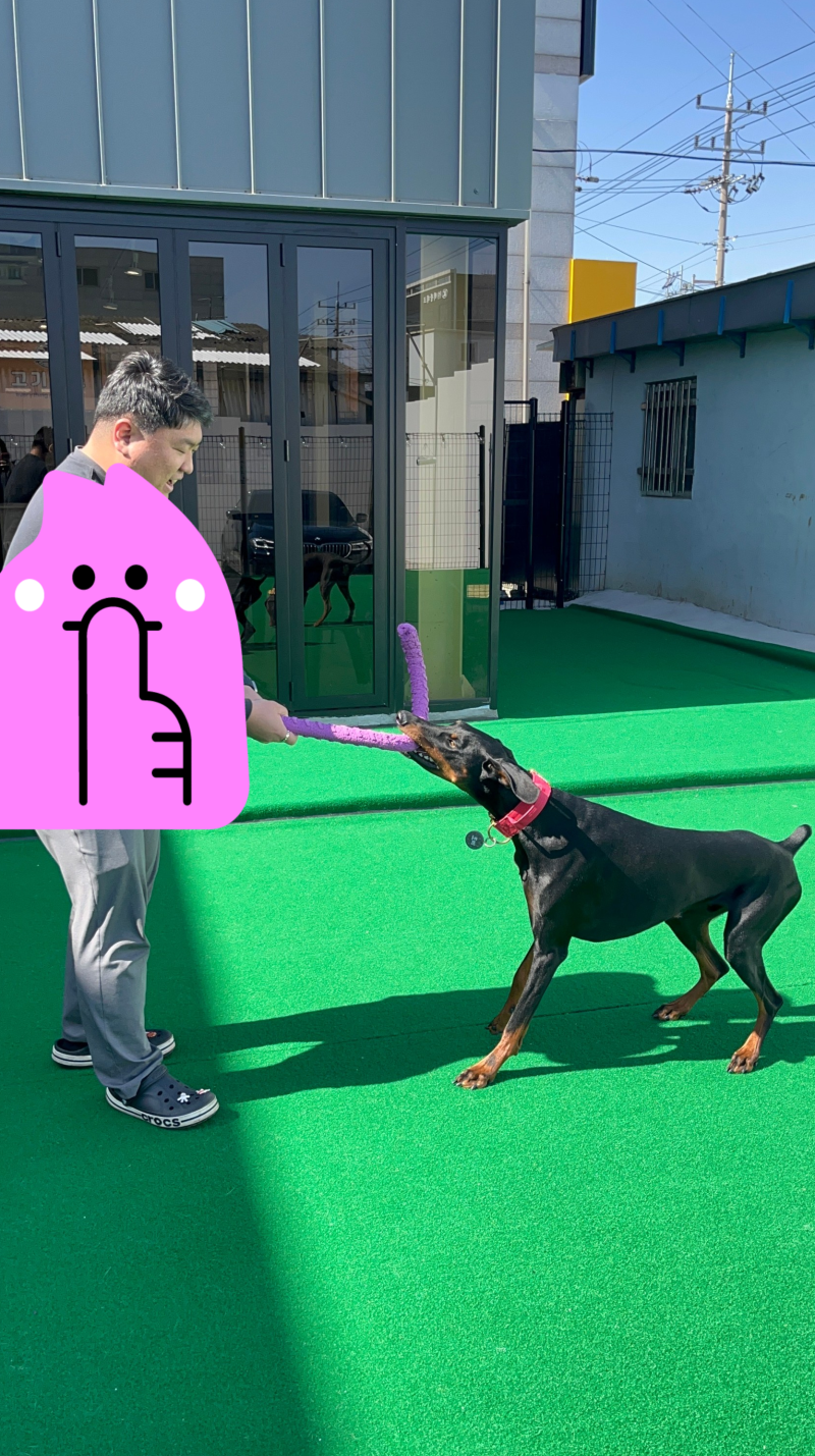 사진 2