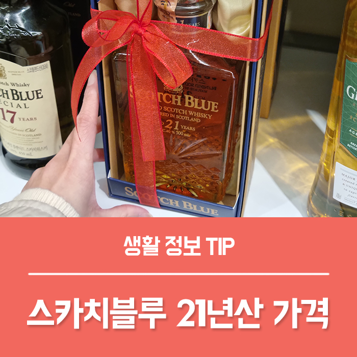  스카치블루 21년산 가격 맛 도수 총정리!