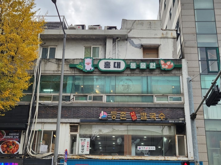  서울 홍대입구 가볼만한 곳 실내동물원이 있는 이색 카페 페럿월드