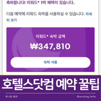  호텔스닷컴 쿠폰 할인 코드 총정리 고객센터 리워드 제도 활용 꿀팁