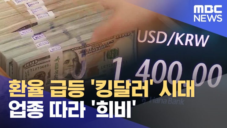 환율 급등 '킹달러' 시대‥ 업종 따라 '희비' 환율 급등 '킹달러' 시대‥ 업종 따라 '희비'