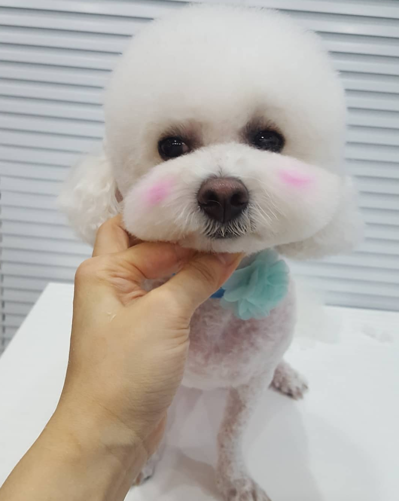 사진 8