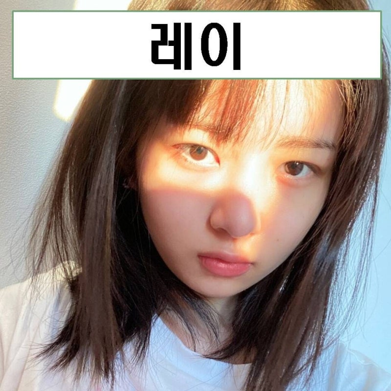 아이브 레이 프로필 본명 국적 나이 키 움짤 집안 mbti 몸매