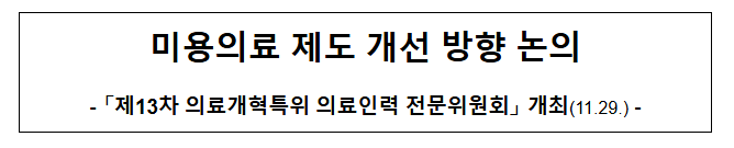 미용의료 제도 개선 방향 논의 미용의료 제도 개선 방향 논의